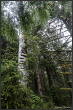 Haida village totem pole - Totem, village Haida - Totempfahl Haidadorf - Hiada Gwaii, Canada