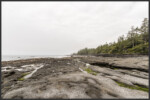 Botanical Beach, Vancouver Island, Canada